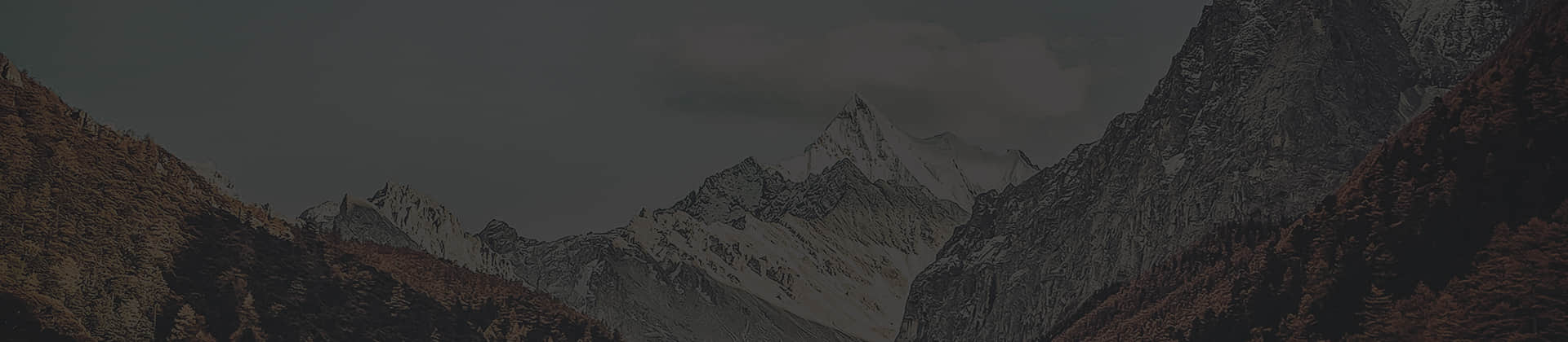 华体网站登录入口